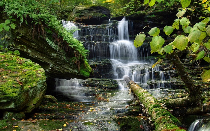 Waterfall cascading over mossy rocks in a forest