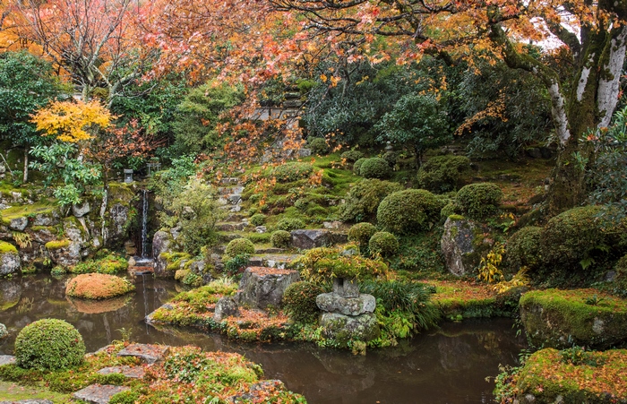 Japanese garden with a pond and waterfall in autumn