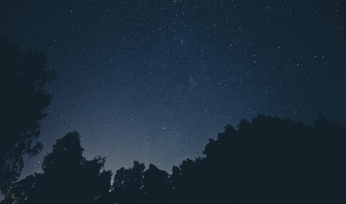 Starry night sky over silhouetted trees