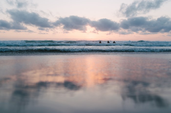 Surfers in the ocean at sunset