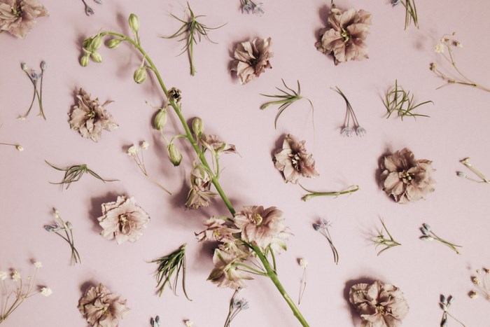 Dried pink flowers and green stems flat lay pattern