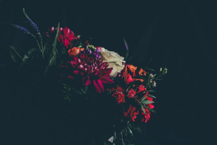 Dark floral bouquet with red, white, and purple flowers
