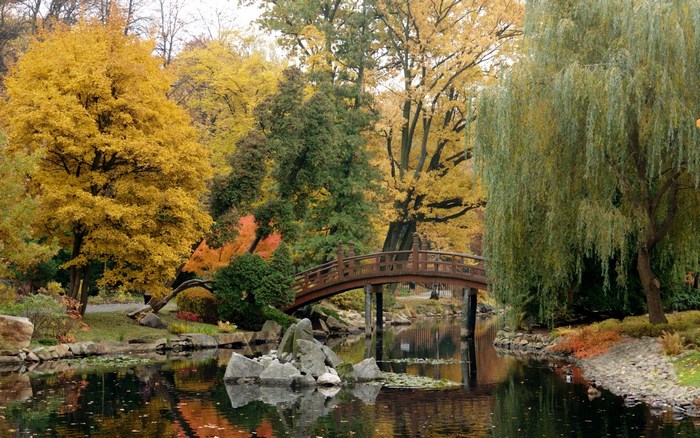 Autumn park with a bridge over a pond