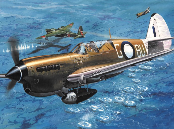 Curtiss P-40 Warhawk in Aerial Combat