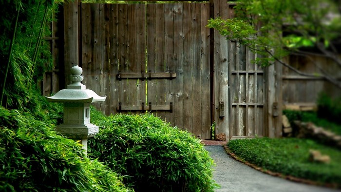 Wooden gate with stone lantern and bamboo