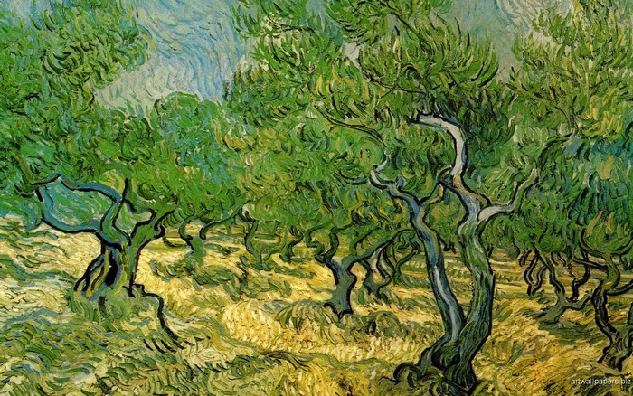Vibrant Olive Trees in a Vincent van Gogh Painting