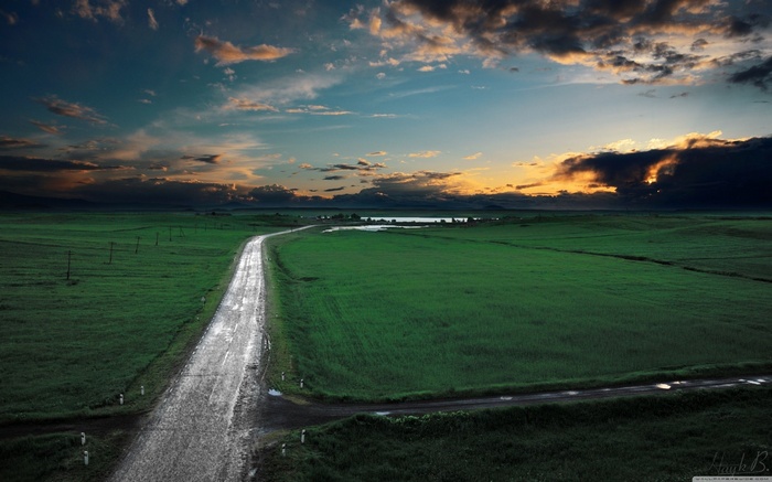 Road through green fields at sunset