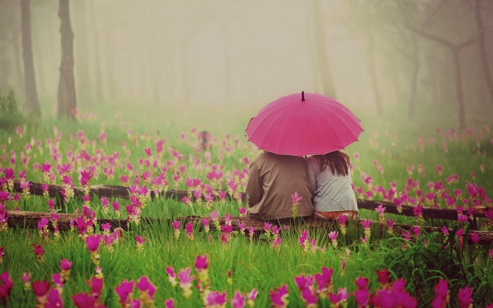 Couple under pink umbrella in flower field