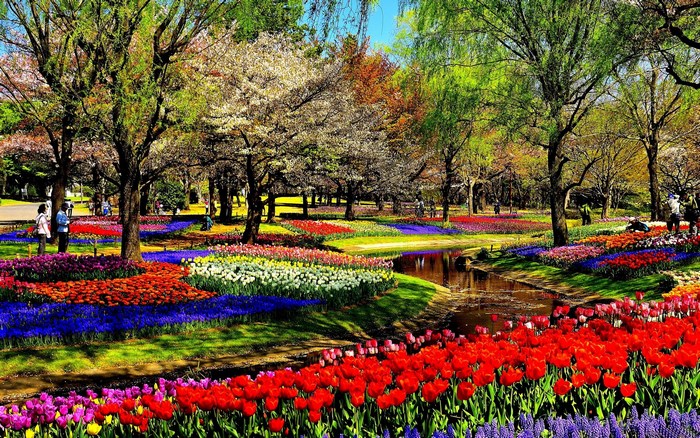 Vibrant Spring Park with Colorful Flower Beds