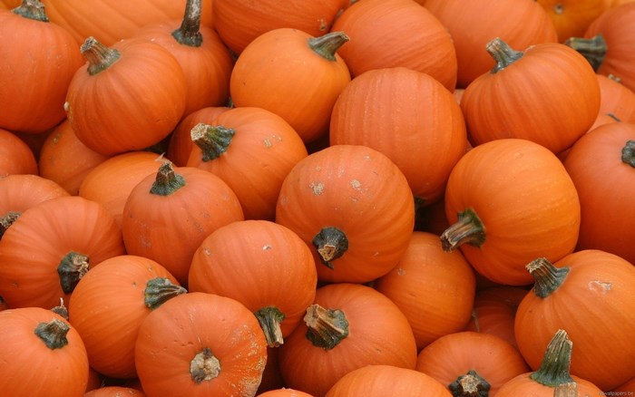 Pile of orange pumpkins