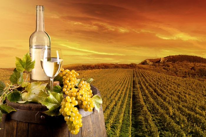 White wine bottle and glass in vineyard at sunset