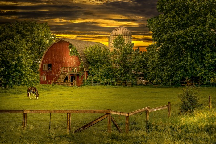 Red barn and silo in a field at sunset