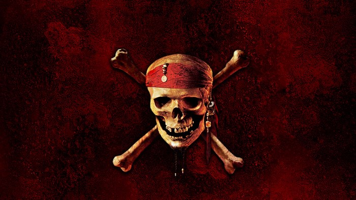 Pirates of the Caribbean Skull and Crossbones