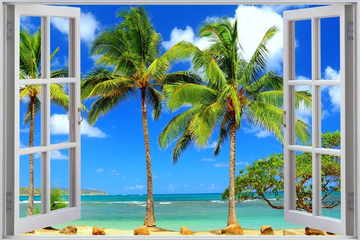 Open window view of a tropical beach with palm trees