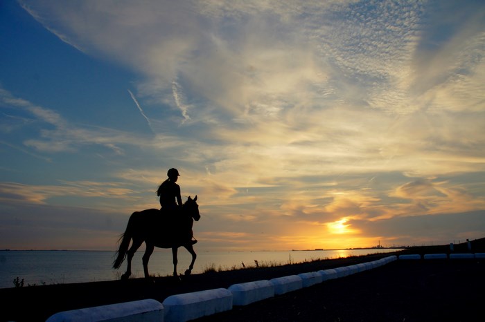 Silhouette of a person riding a horse at sunset