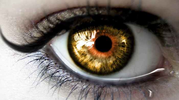 Close-up of a human eye with golden iris