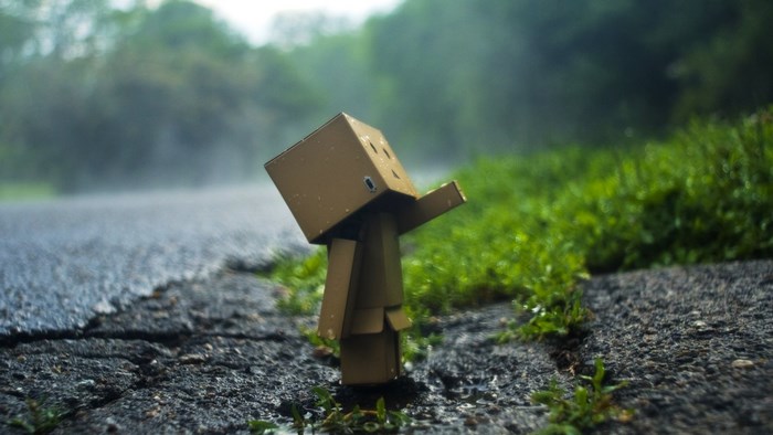 Danbo standing on a wet road