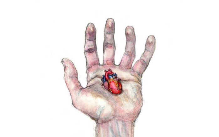 Hand holding a human heart