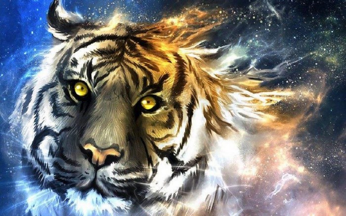 Tiger with cosmic background
