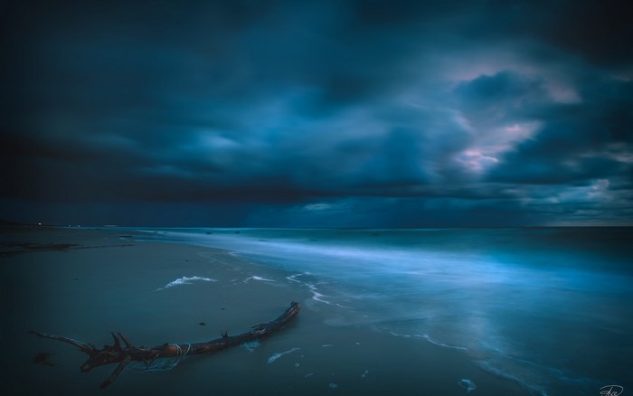 Dark stormy sky over a beach with driftwood
