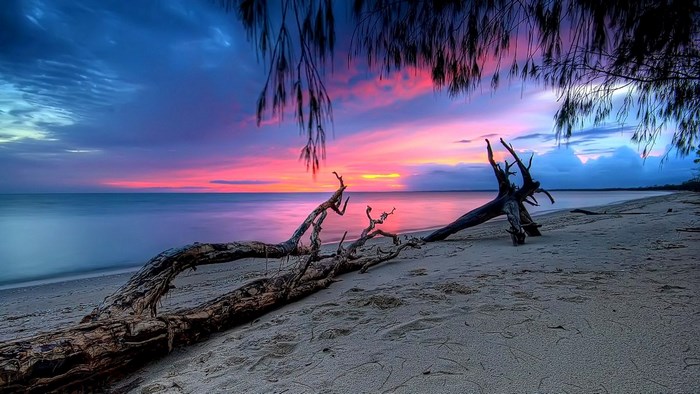 Beach at sunset with driftwood