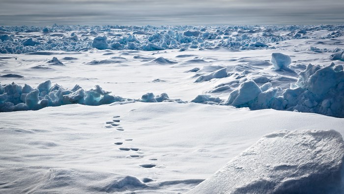 Footprints in the Arctic ice field 4K