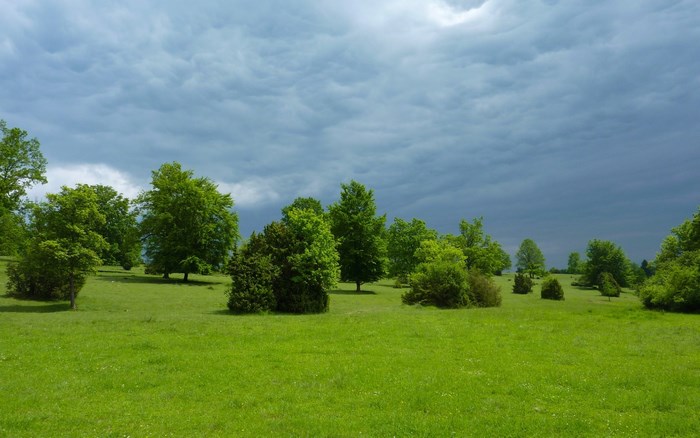 Green meadow with trees under stormy sky