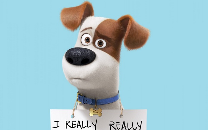Max from The Secret Life of Pets holding a sign