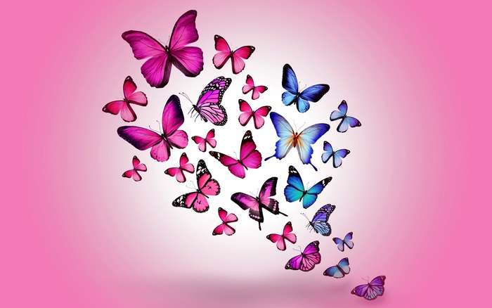 4K Butterfly Background