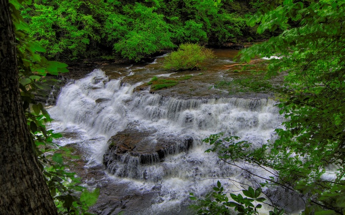Waterfall cascading over rocks surrounded by trees