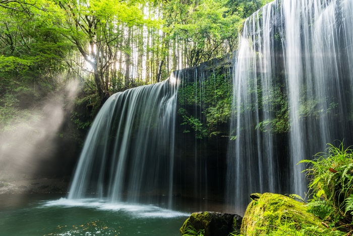 Waterfall in a lush green forest