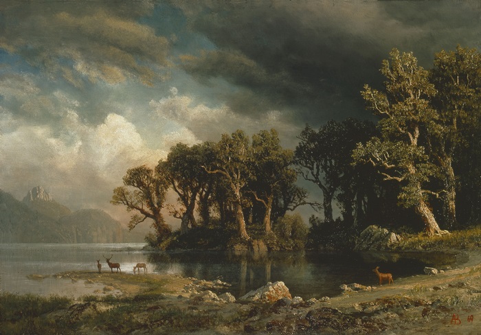 Stormy Sky Over Lake with Deer and Trees