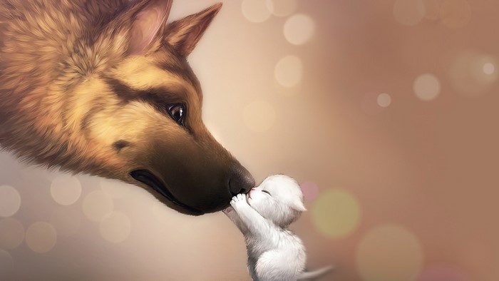 Tender Moment Between Baby Kitten and Friendly Wolf