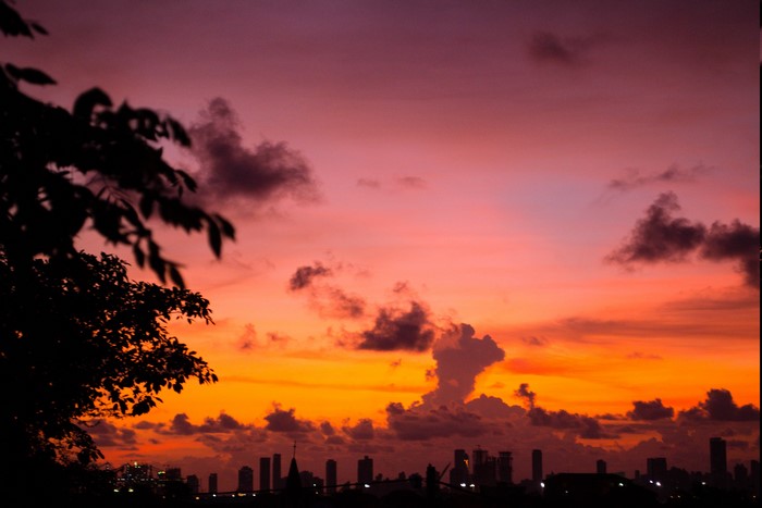 Sunset over a city skyline with silhouetted trees