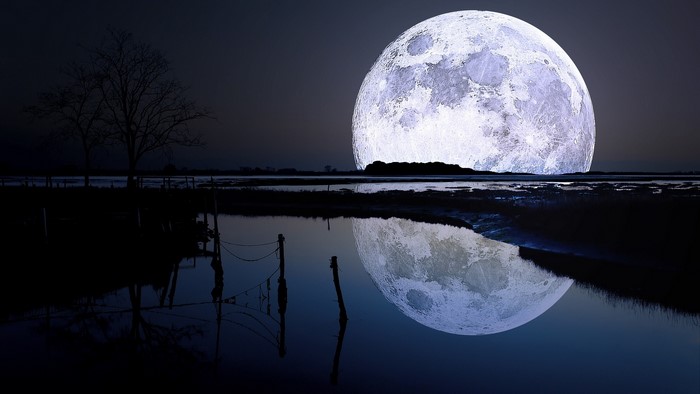 Full moon over a lake with reflection and trees
