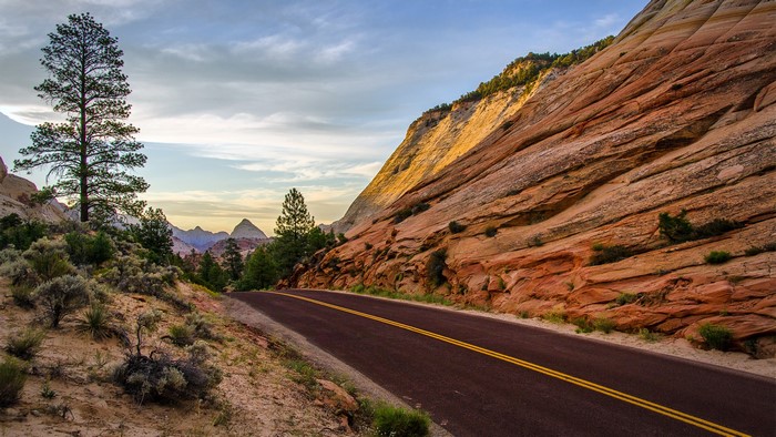 Road through Zion National Park landscape