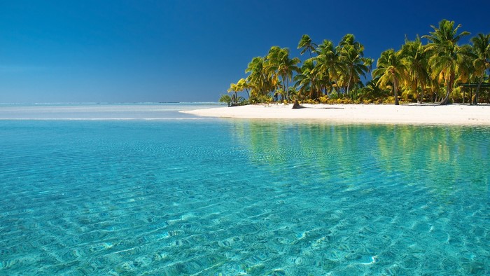 Tropical island with palm trees and clear blue water