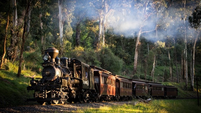 Vintage Steam Train Traveling Through Australian Forest