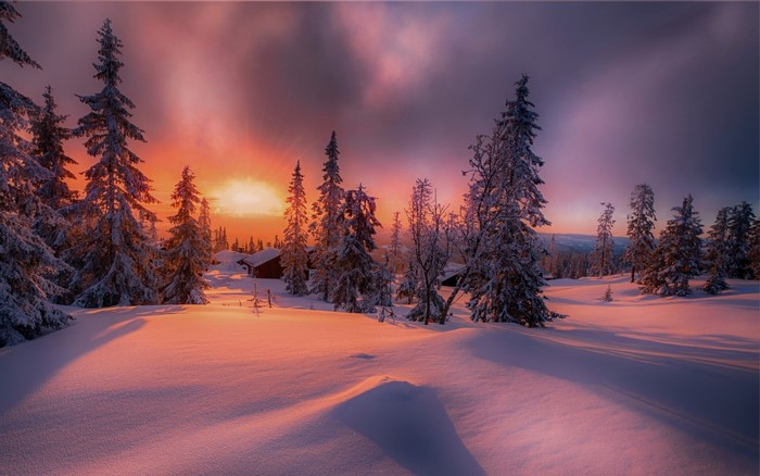 Winter Sunset Over Snowy Forest Cottage in Norway