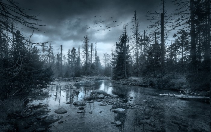 Dark forest landscape with river and flying birds