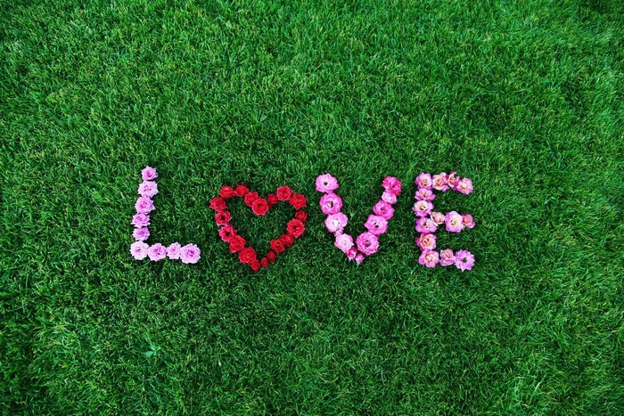 The word LOVE spelled out with flowers on grass