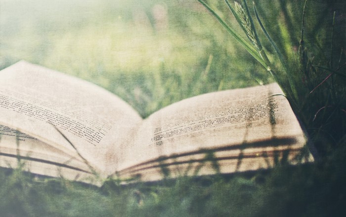 Open book lying in the grass