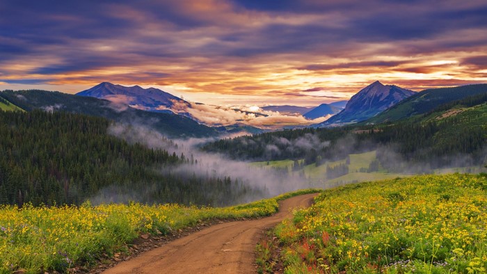 Dirt path through wildflower meadow to misty mountains at sunset