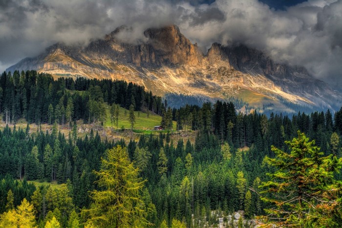 Mountain Cottage Among Lush Forest and Clouds