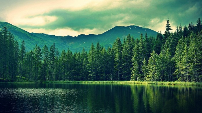 Forest lake with mountains and trees