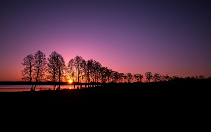 Silhouette of trees at sunset over a lake