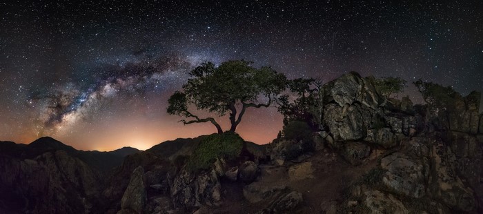 Milky Way over a lone tree and rocky mountains