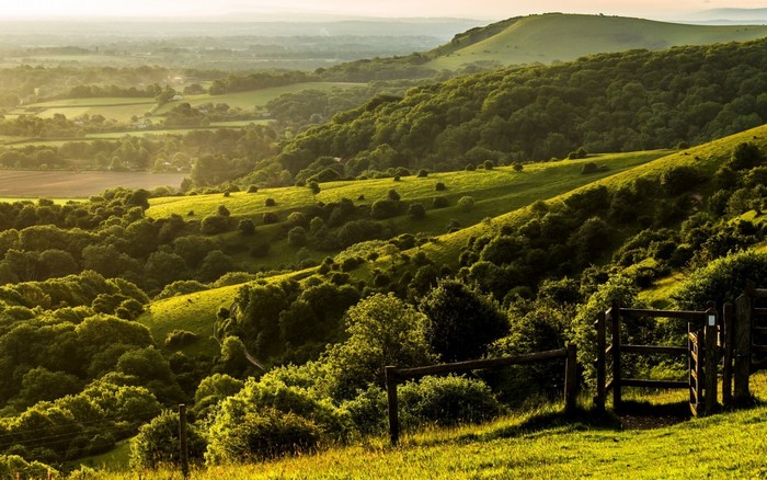 Rolling green hills and forests in the UK
