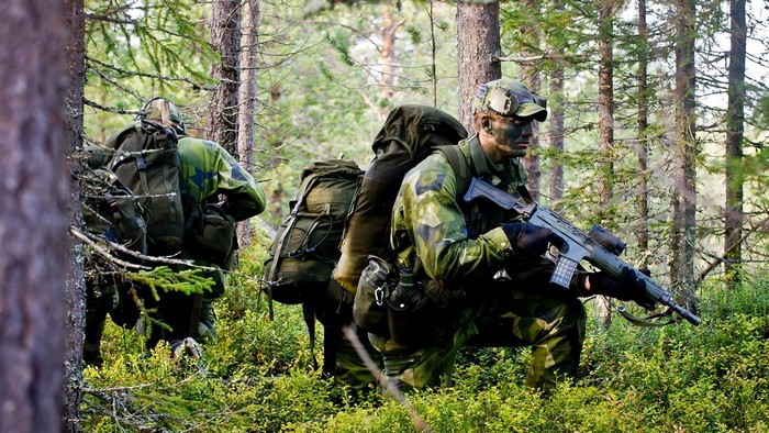 Swedish soldiers in a forest with rifles