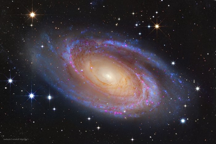 Spiral Galaxy M81 in Deep Space